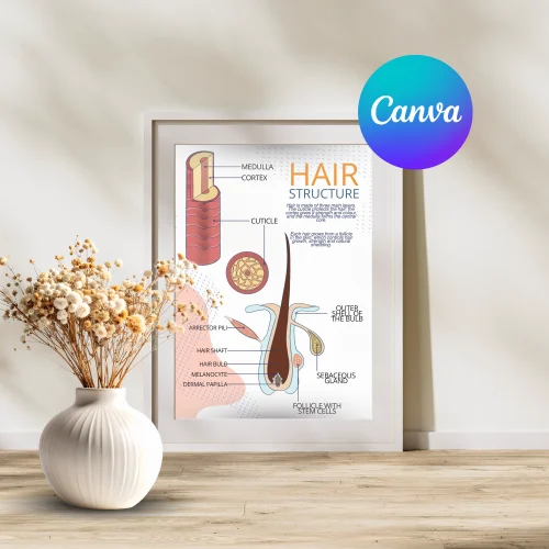 Anatomy of the Hair Poster Anatomy of the Hair Poster